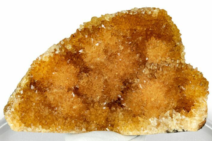 Intense Orange Calcite Crystal Cluster - Poland #311622